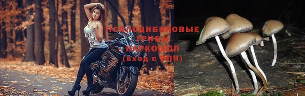 прущая мука Липки
