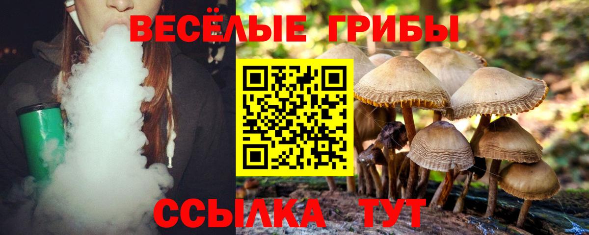 Шали  Галлюциногенные грибы MAGIC MUSHROOMS  Вход с VPN 
